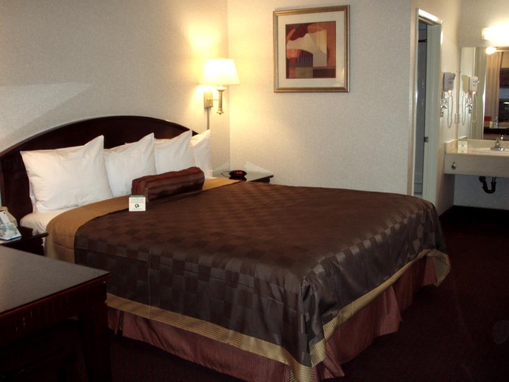 Western Hotel 3*